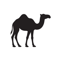 camel silhouette
