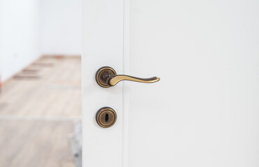 White interior door with metallic handle