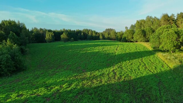 Green field with trees landscape