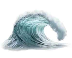 Curving wave of ocean water, with foam cresting, isolated on black