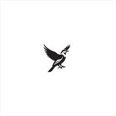 Obraz premium Stylized bird illustration with vibrant colors