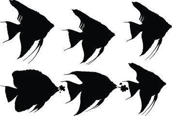 Angelfish silhouette collection, tropical fish vector, marine animal artwork, underwater sea creature design, ocean wildlife illustration, aquatic fish graphic, reef fish set