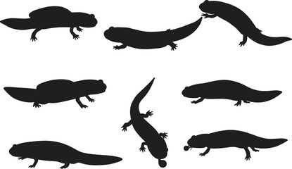 Axolotl silhouette collection, amphibian vector artwork, exotic salamander illustration, black aquatic shapes, animal poses, herpetology study, zoology design, educational biology nature art