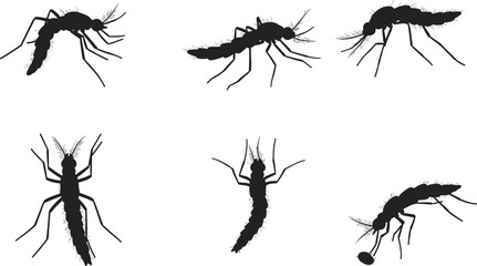Mosquito silhouette collection, insect vector artwork, flying bug illustration, black mosquito shapes, animal poses, entomology study, zoology design, educational biology nature art