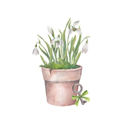 Snowdrops in a flower pot with pretty key. Watercolor illustration hand drawn and isolated on a white background. Perfect for decorating postcards, wedding invitations, printing on tableware, textiles