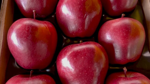 Jeromine red apples arranged in cardboard crate, tracking shot on red apples