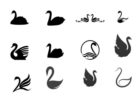 eagle, bird, logo, emblem, heraldry, symbol, icon, design, graphic, illustration, vector, black, and, white, monochrome, stylized, silhouette, wing, feather, crest, shield, avian, falcon, hawk, predat