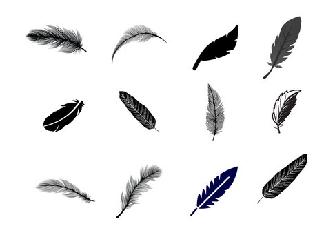 Collection of diverse black and white feathers with one vibrant blue feather on a clean white background