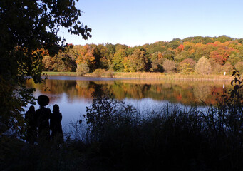 Fall landscape with lake in the park