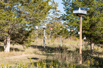 Very Unique Birdhouses in a Park on a Sunny Day