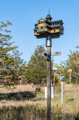 Very Unique Birdhouses in a Park on a Sunny Day