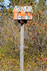 Close-up of a Very Elaborate Birdhouse Modelled After a Colorful House