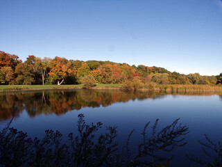 Fall landscape with lake in the park