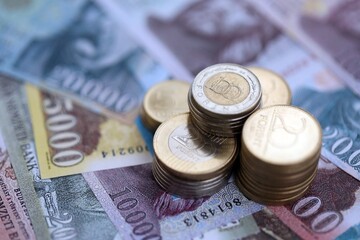 Big amount of Hungarian Forint currency money bills and coins. HUF currency banknotes and coins close up