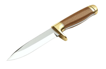 Polished hunting knife with wooden handle against dark background