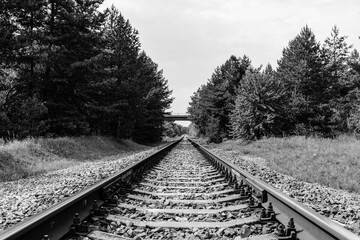 Obraz premium Old railroad in forest on summer