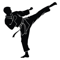 Karate student doing kata silhouette