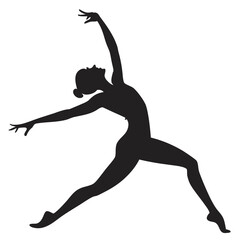 Karate student doing kata silhouette