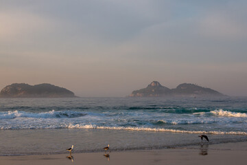 Sunrise at the beach of Barra da Tijuca, Rio de Janeiro, Brazil