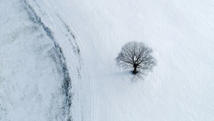 Snowy landscape, lone tree