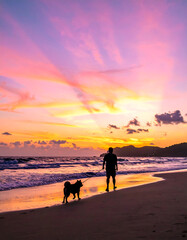 夕焼けの海岸を犬と散歩する男性