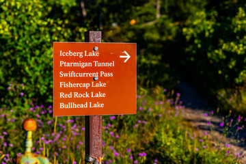 Iceberg Lake, Ptarmigan Tunnel, and Other Trails Trailhead Sign in Glacier National Park