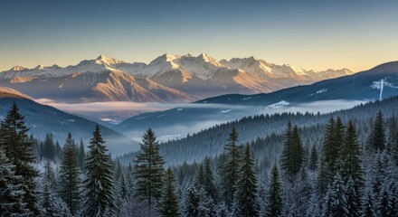 Fototapeta premium Alpine Panorama: Snow-Capped Mountain Range Vista with Misty Valleys and Dense Evergreen Forest under Clear Morning Light Showcasing Nature's Majesty