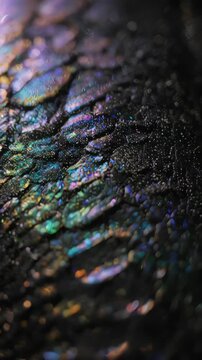 An abstract and mesmerizing macro video that glides over the intricate, geometric patterns of snake scales, revealing their shimmering, iridescent texture.