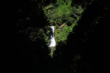 森の中の花房の滝