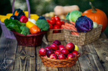 Rural farm scene with seasonal fruits and vegetables. Healthy vegetables growing naturally in a vibrant garden. Autumn harvest of fresh fruits and vegetables in a wooden basket. Fresh seasonal crops.