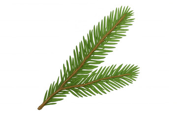 Fir branch on transparent background symbolizing christmas, winter holidays, and evergreen tree nature