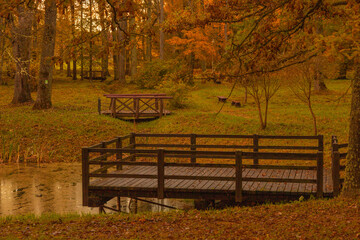 Vivil fall park on a sunny day. Colourful autumn by the pond with vivid yellow orange trees in city...