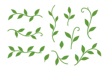 Green leaves with stems and tendrils forming a botanical set, ideal for decorating and design, with transparent background