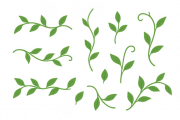 Green leaves with stems and tendrils forming a botanical set, ideal for decorating and design, with transparent background