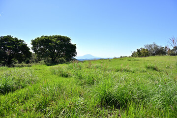 夏の柳ヶ平散策路展望台