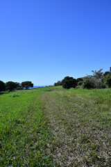 柳ヶ平散策路展望台の夏風景