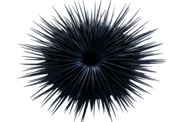 Spiky radial pattern converges to dark center against a black background