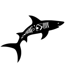 vector illustration of a shark