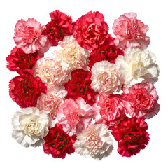 Top View of Mixed Carnations in Red, White, and Pink Shades on Transparent Background