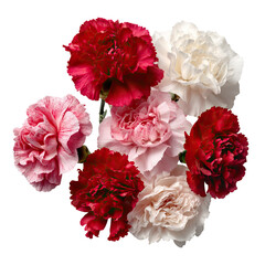 Top View of Mixed Carnations in Red, White, and Pink Shades on Transparent Background
