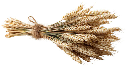 Vintage Rustic Wheat Bundle with Textured Stalks in Natural Golden Tones on Transparent Background