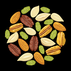 Scattered collection of different colored and shaped nuts and seeds including pistachios and pecans on a contrasting surface - Vector Illustration
