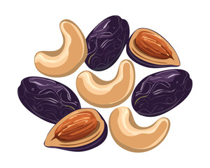 A handful of whole cashews mixed with dark dried prunes or raisins creates a rich and wholesome sweet snack full of fiber - Vector Illustration
