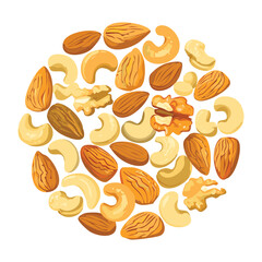  Bright graphic representation of various nuts like pecans, almonds, and cashews clustered naturally together for a rich, energetic ingredient - Vector Illustration