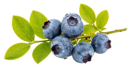 Cluster of fresh blueberries with green leaves isolated on transparent background