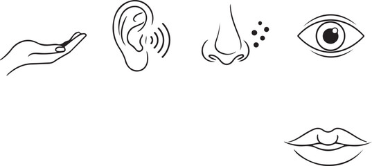 Minimalist Line Art Icons of Human Five Senses on White Background