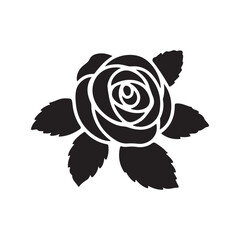 red rose on white background