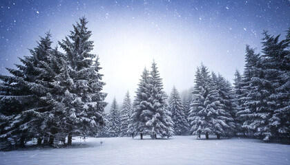 Fototapeta premium Snowy pine forest landscape with tall evergreen trees covered in fresh snow under soft blue sky during gentle snowfall, creating peaceful and serene winter atmosphere