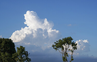 Obraz premium A large, fluffy white cloud is seen against a clear blue sky, with trees framing the lower part of the scene.