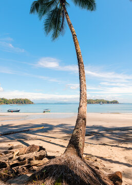  Isla Parida Boca Chica, Chiriqui, province, Panama